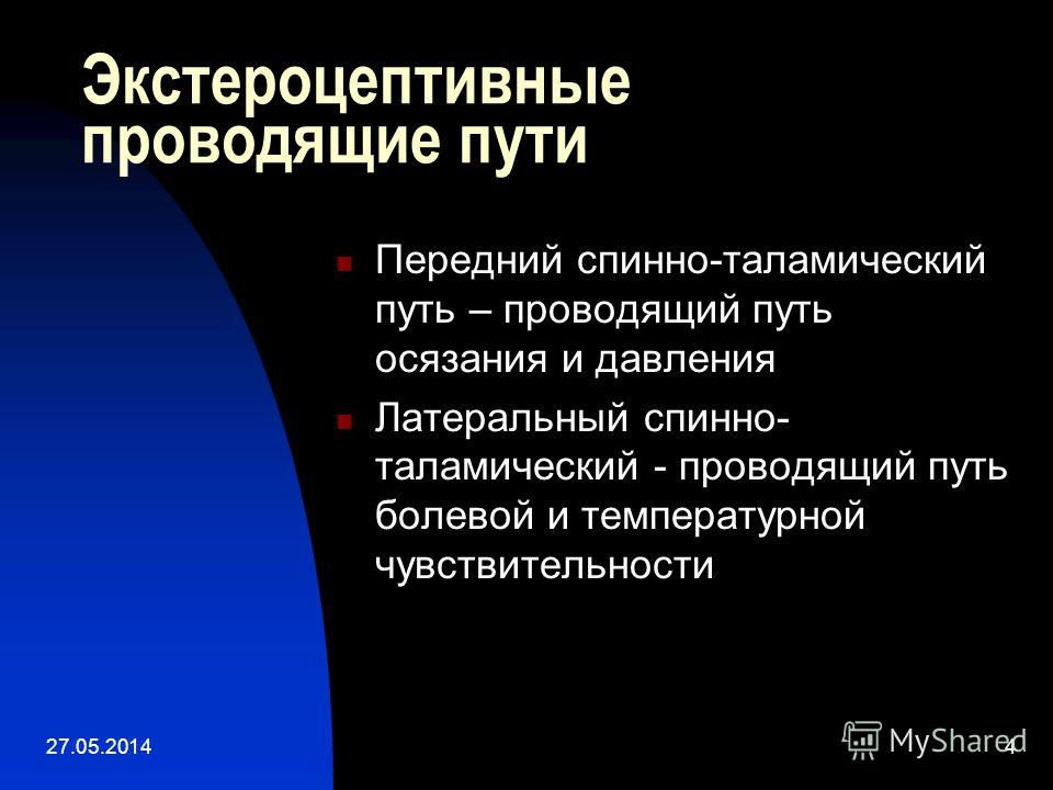 Экстероцептивные Проводящие Пути Реферат Экстероцептивные Проводящие Пути Реферат