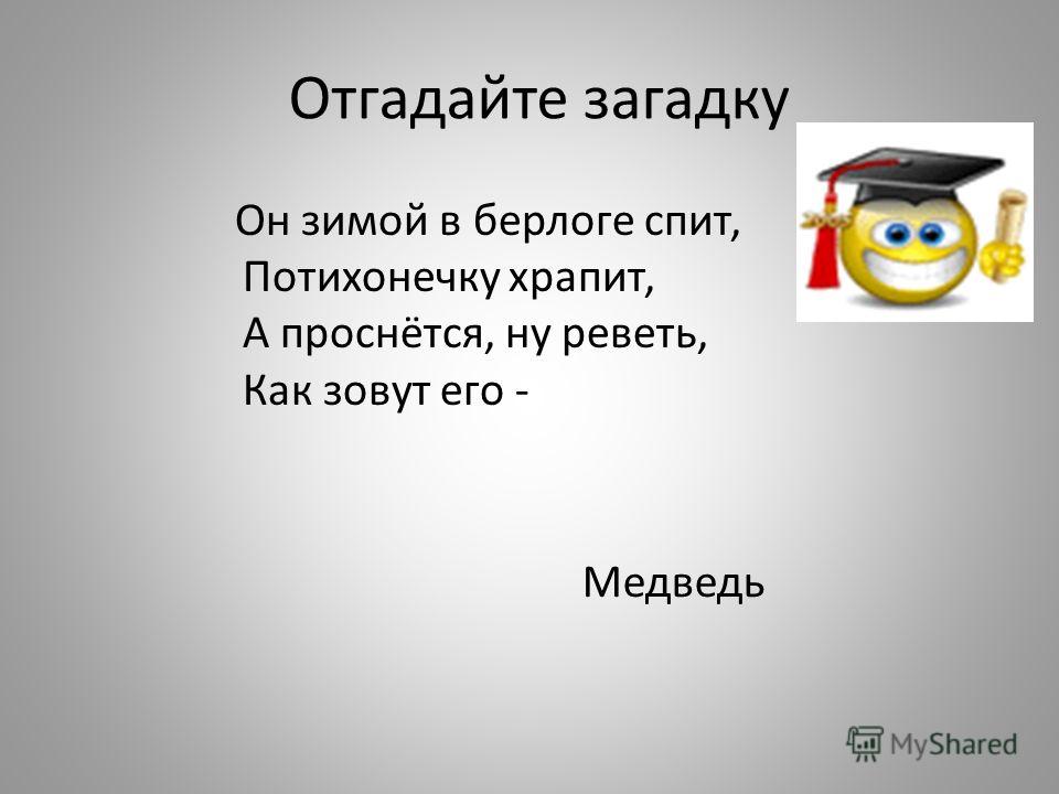 Отгадайте загадку Он зимой в берлоге спит, Потихонечку храпит, А проснётся, ну реветь, Как зовут его - Медведь