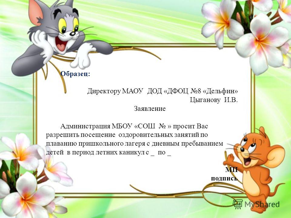 заявление на кружок в доу образец