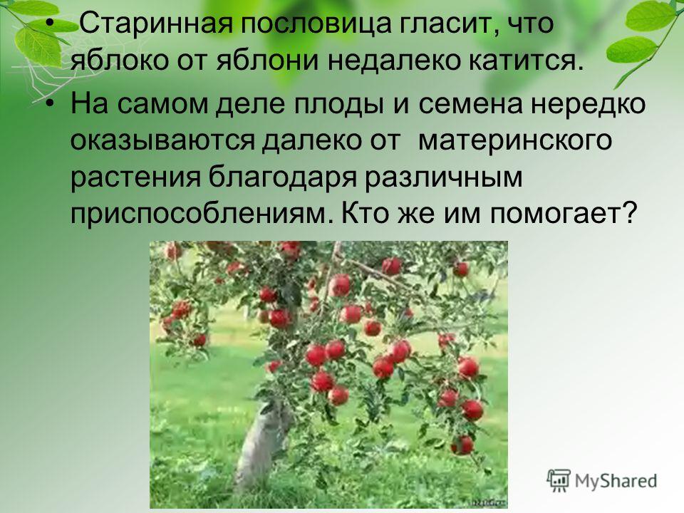 Составление приглашений на организацию Составление приглашений на организацию
