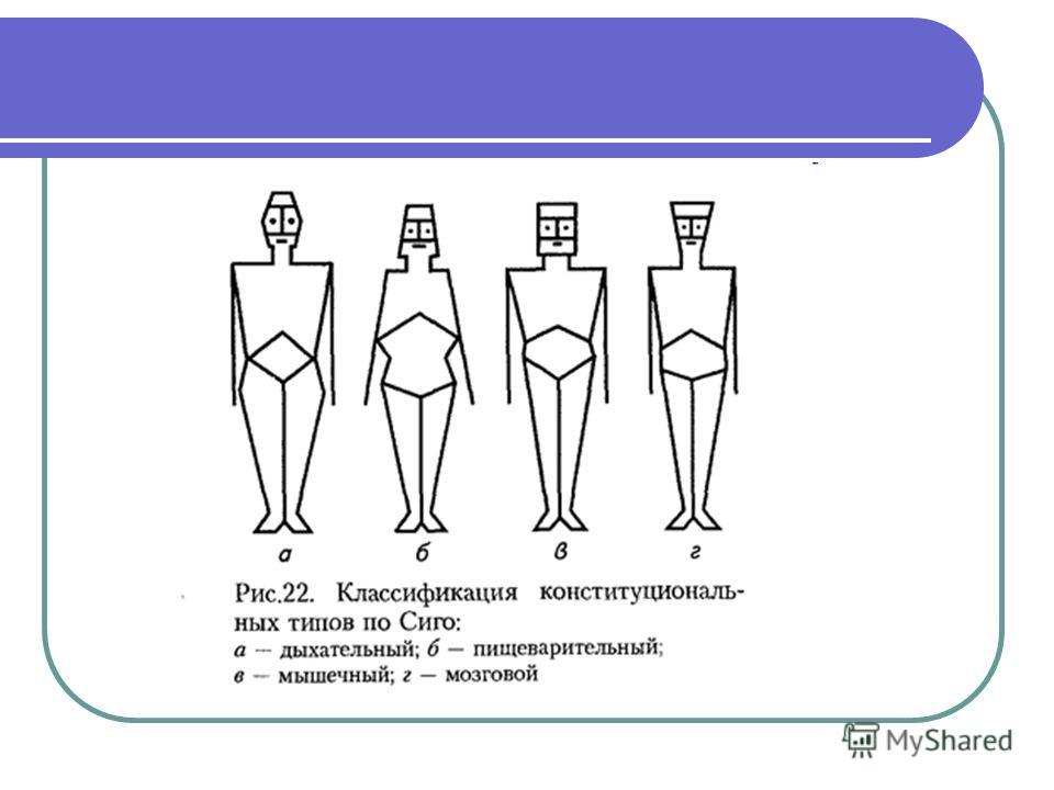 Аннотация к презентации