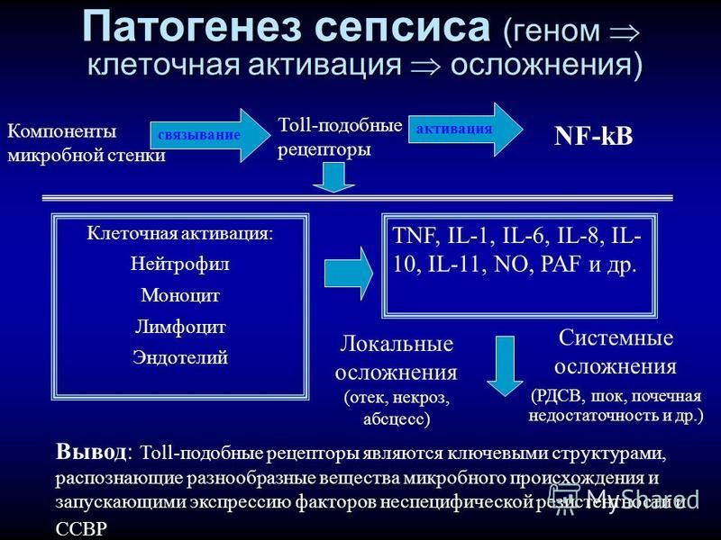 Курсовая На Тему Сепсис Курсовая На Тему Сепсис
