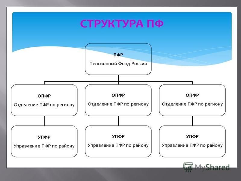 Структура организации схема пфр