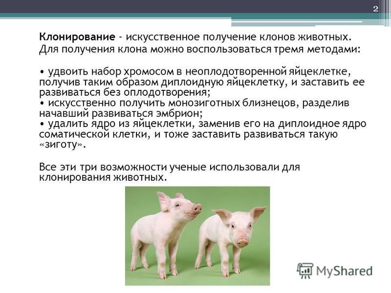 Клонирование биология 10 класс - Basanova.ru