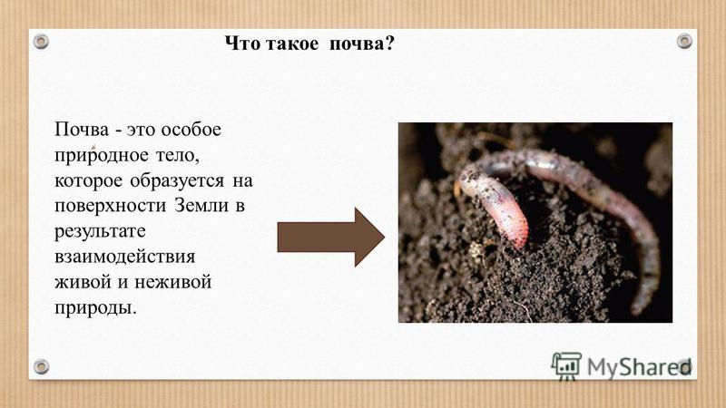 Что такое почва? Почва – это рыхлый, поверхностный слой земной коры, обладающий плодородием.