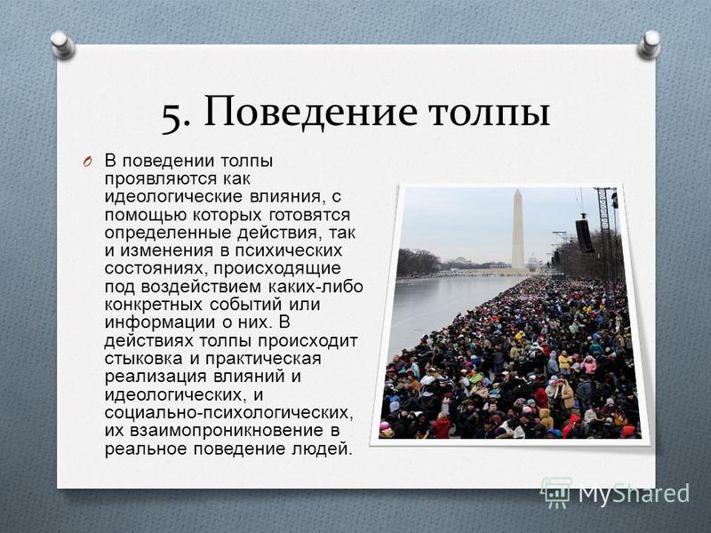 Поведение толпы массовое сознание проект 10 класс