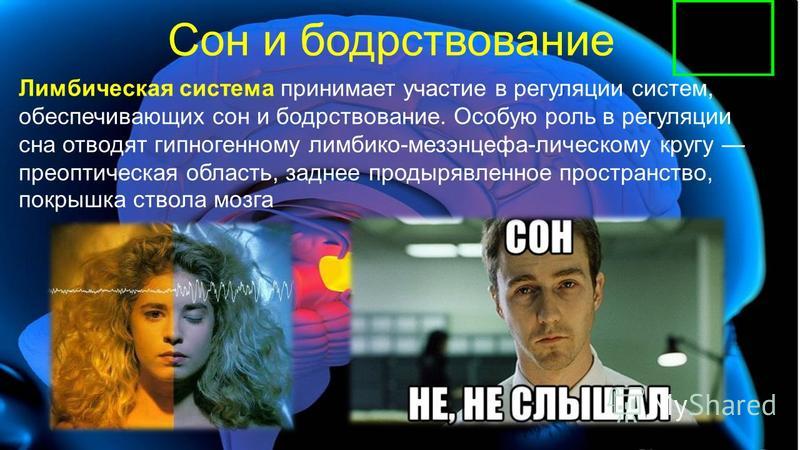 Бодрствование днем Бодрствование днем