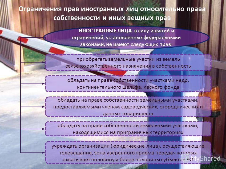 Понятие государственного и муниципального контроля надзора PLEX подробно : Планета Excel