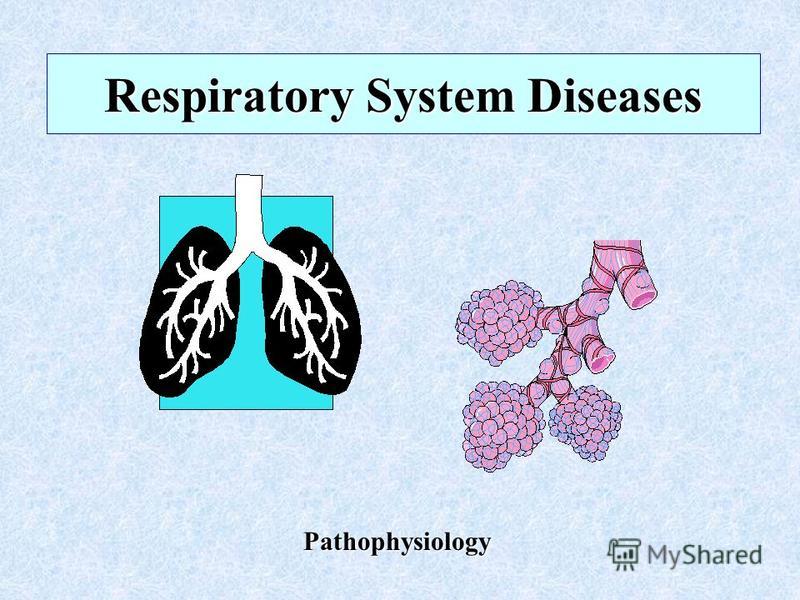 respiratory system and diseases respiratory system and diseases