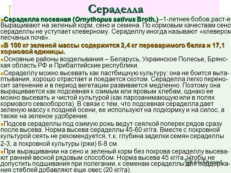 Вес посевной единицы Вес посевной единицы