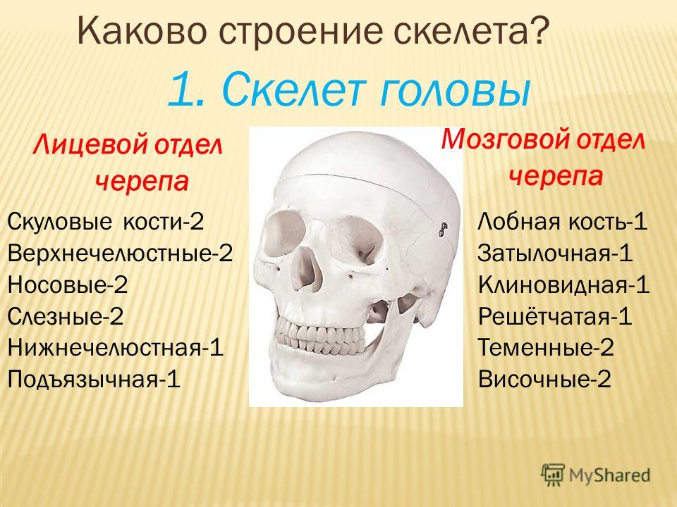 Восстановить зрение барнаул