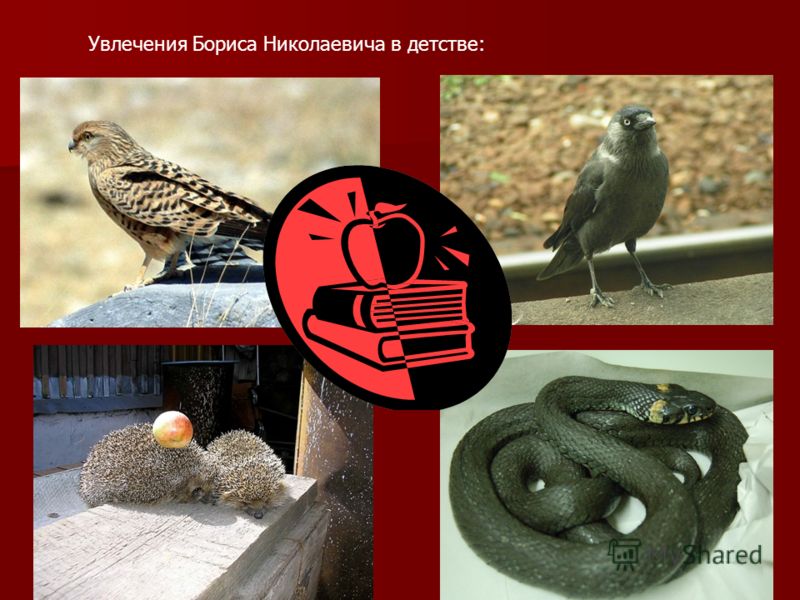 Простые рецепты на каждый день 2 блюда