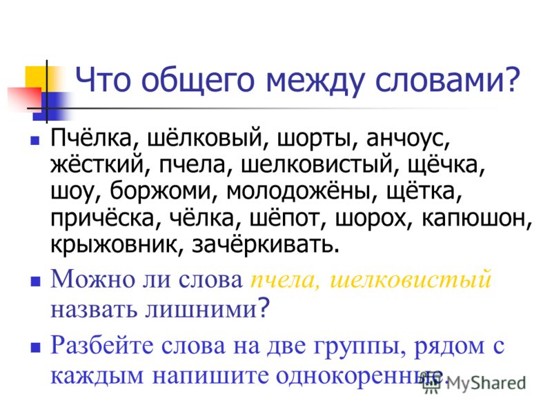 Программа успех