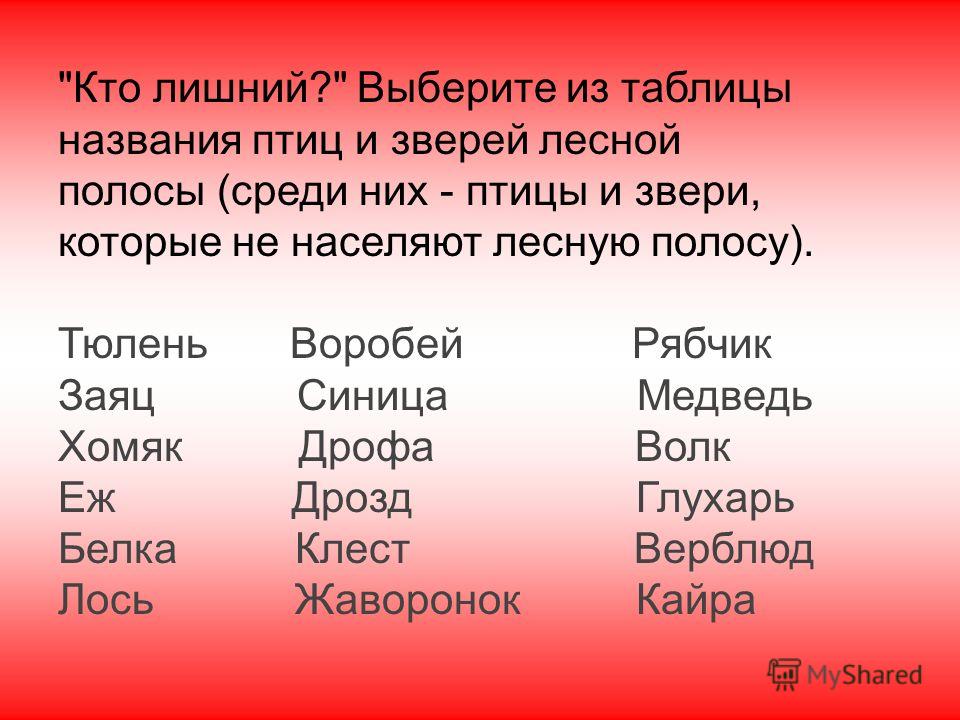 Детский санаторный оздоровительный лагерь "МИР" 81 Детский санаторный оздоровительный лагерь "МИР" 81