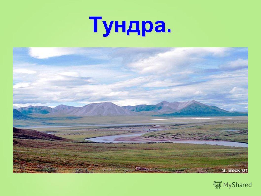 песня за летом зима пролетели года текст песня за летом зима пролетели года текст