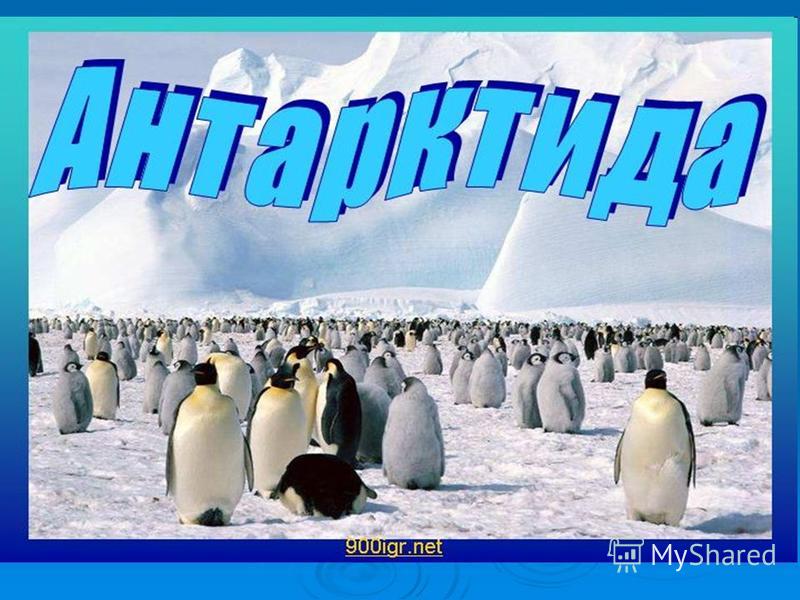 Реферат: Фізико-географічне положення та відкриття Антарктиди Реферат: Фізико-географічне положення та відкриття Антарктиди