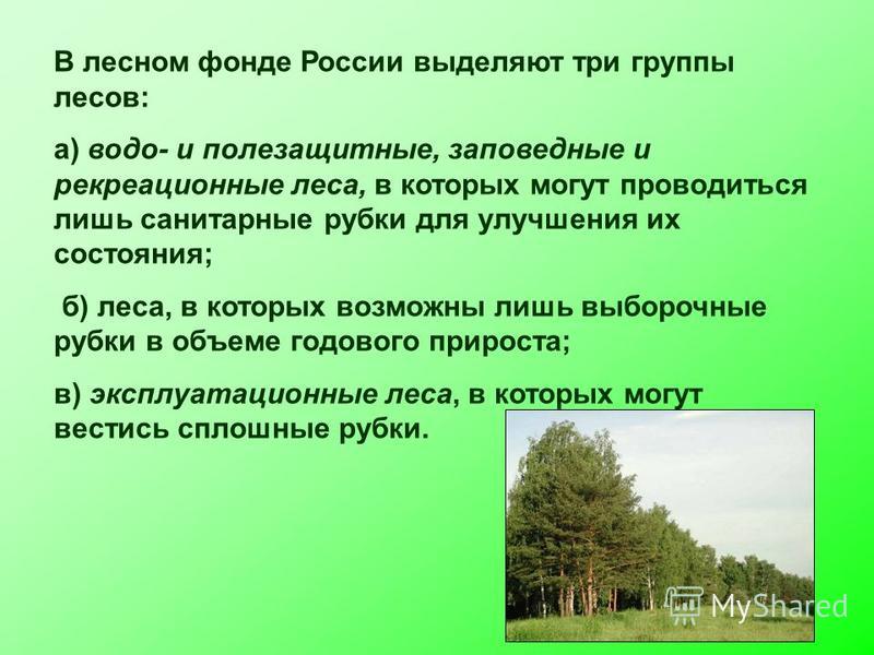 В лесном фонде России выделяют три группы лесов: а) вода- и полезащитные, заповедные и рекреационные леса, в которых могут проводиться лишь санитарные рубки для улучшения их состояния; б) леса, в которых возможны лишь выборочные рубки в объеме годово