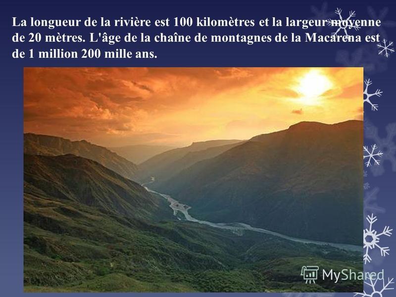 La longueur de la rivière est 100 kilomètres et la largeur moyenne de 20 mètres. L'âge de la chaîne de montagnes de la Macarena est de 1 million 200 mille ans.