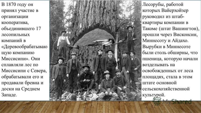 В 1870 году он принял участие в организации кооператива, объединившего 17 лесопильных компаний в «Деревообрабатываю щую компанию Миссисипи». Они сплавляли лес по Миссисипи с Севера, обрабатывали его и продавали бревна и доски на Среднем Западе. Лесор