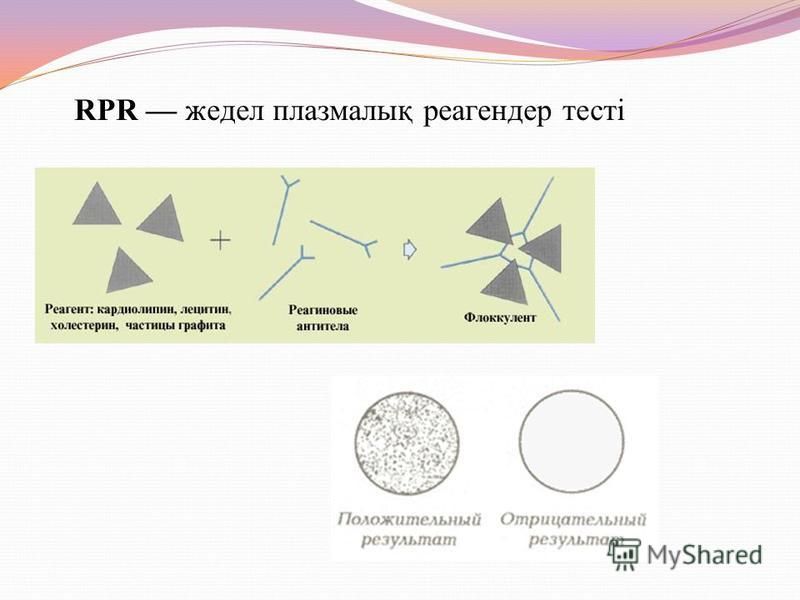 RPR жедел плазмалық реагендер тесті