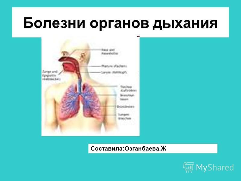 Болезни органов дыхания Составила:Озганбаева.Ж
