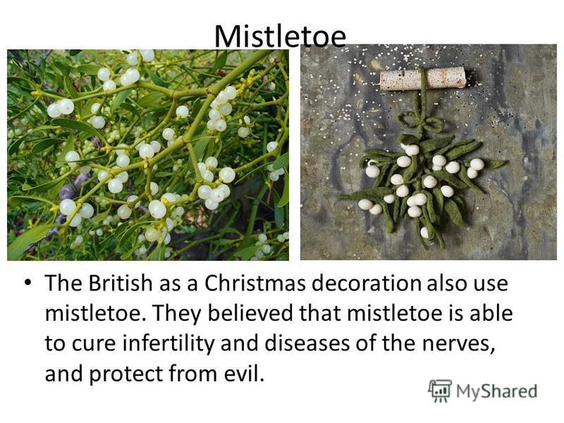 Mistletoe The British as a Christmas decoration also use mistletoe. They believed that mistletoe is able to cure infertility and diseases of the nerves, and protect from evil.