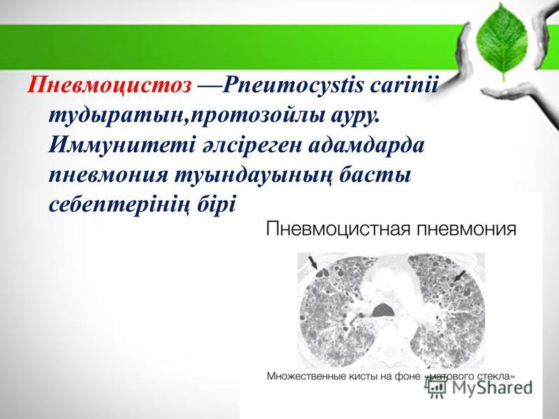 Пневмоцистоз Pneumocystis carinii тудыратын,протозойлы ауру. Иммунитеті әлсіреген адамдарда пневмония туындауының басты себептерінің бірі болып табылады.