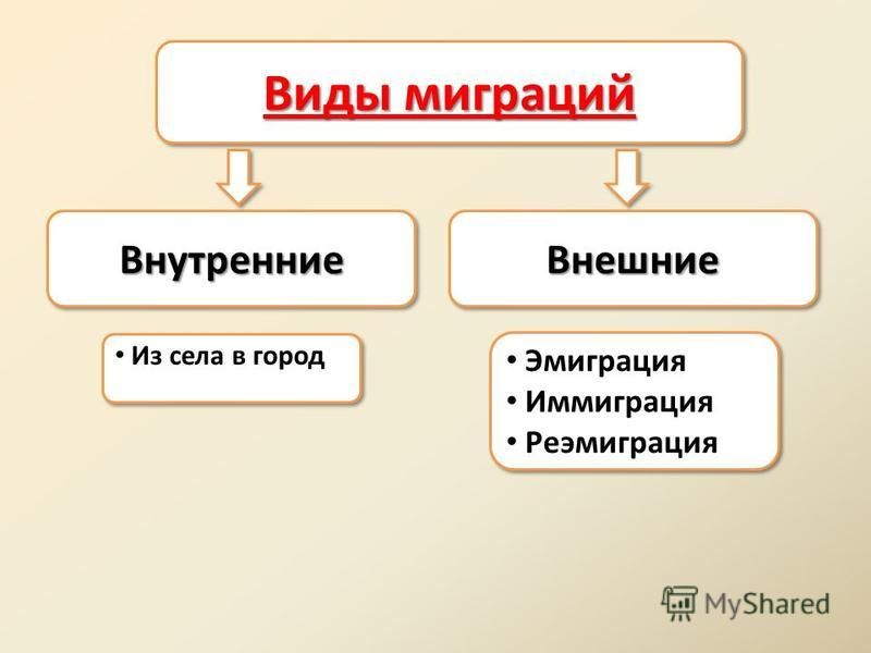 Реферат: Понятие и виды миграции