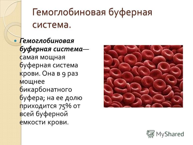 Гемоглобиновая буферная система. Гемоглобиновая буферная система самая мощная буферная система крови. Она в 9 раз мощнее бикарбонатного буфера ; на ее долю приходится 75% от всей буферной емкости крови.