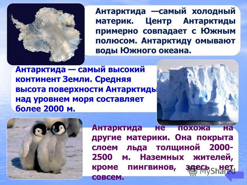 Антарктида не похожа на другие материки. Она покрыта слоем льда толщиной 2000- 2500 м. Наземных жителей, кроме пингвинов, здесь нет совсем. Антарктида самый высокий континент Земли. Средняя высота поверхности Антарктиды над уровнем моря составляет бо