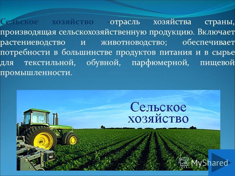 Сельское хозяйство -отрасль хозяйства страны, производящая сельскохозяйственную продукцию. Включает растениеводство и животноводство; обеспечивает потребности в большинстве продуктов питания и в сырье для текстильной, обувной, парфюмерной, пищевой пр