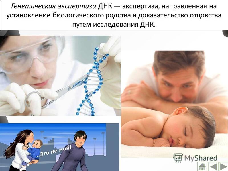 Генетическая экспертиза ДНК экспертиза, направленная на установление биологического родства и доказательство отцовства путем исследования ДНК.