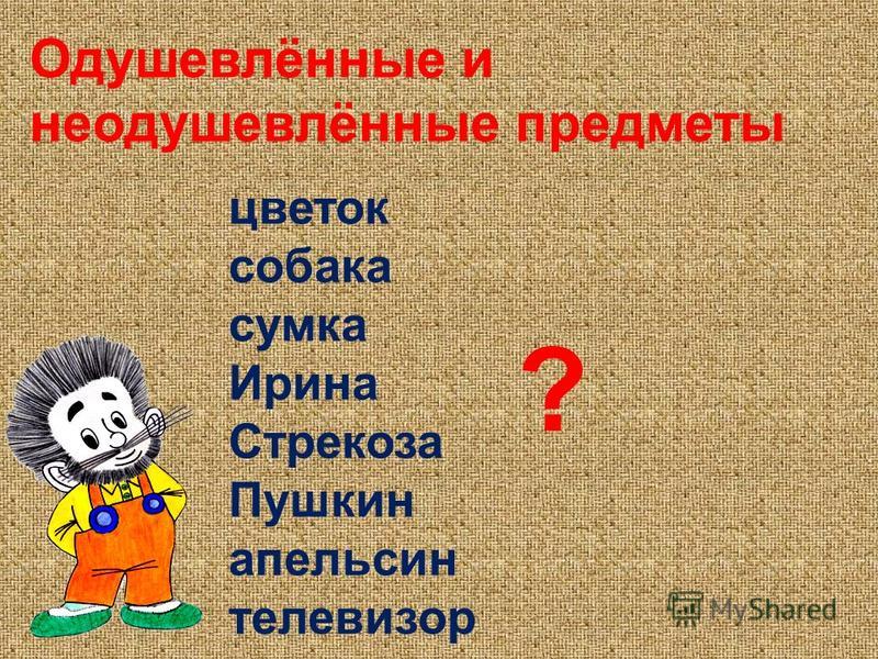 цветок собака сумка Ирина Стрекоза Пушкин апельсин телевизор ? Одушевлённые и неодушевлённые предметы
