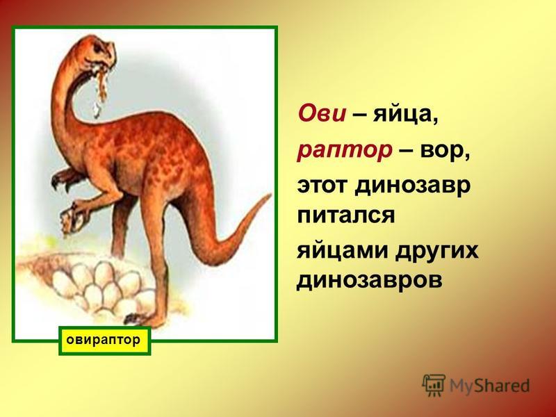 овираптор Ови – яйца, раптор – вор, этот динозавр питался яйцами других динозавров