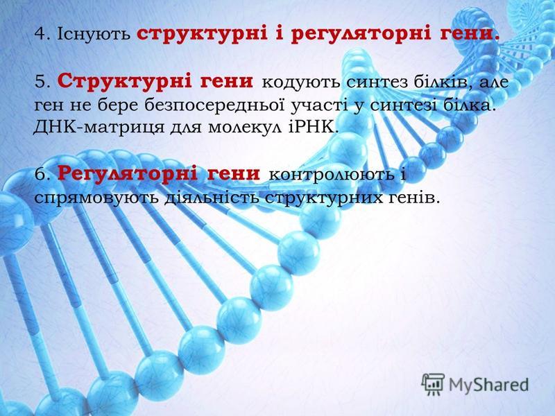 4. Існують структурні і регуляторні гени. 5. Структурні гени кодують синтез білків, але ген не бере безпосередньої участі у синтезі білка. ДНК-матриця для молекул іРНК. 6. Регуляторні гени контролюють і спрямовують діяльність структурних генів.