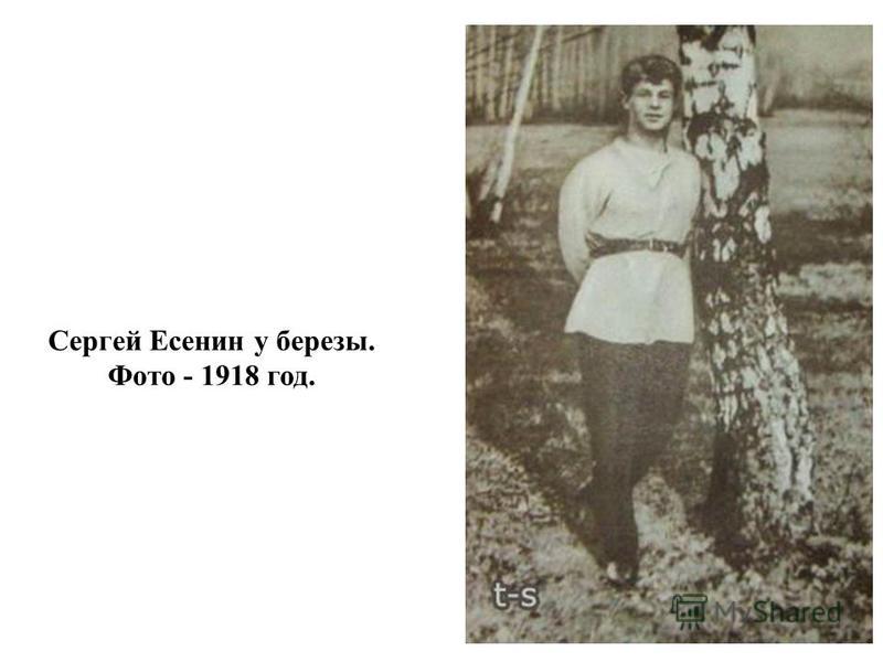 Сергей Есенин у березы. Фото - 1918 год.