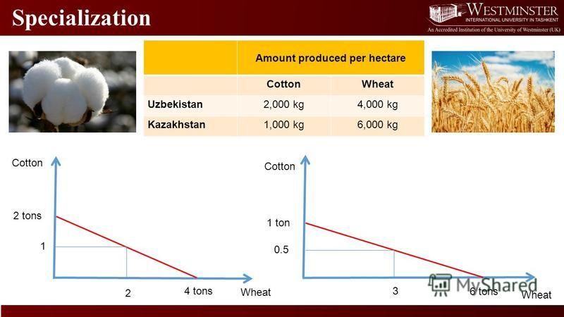 Specialization Amount produced per hectare CottonWheat Uzbekistan2,000 kg4,000 kg Kazakhstan1,000 kg6,000 kg 2 tons 4 tons Cotton Wheat Cotton Wheat 1 ton 6 tons 1 2 0.5 3