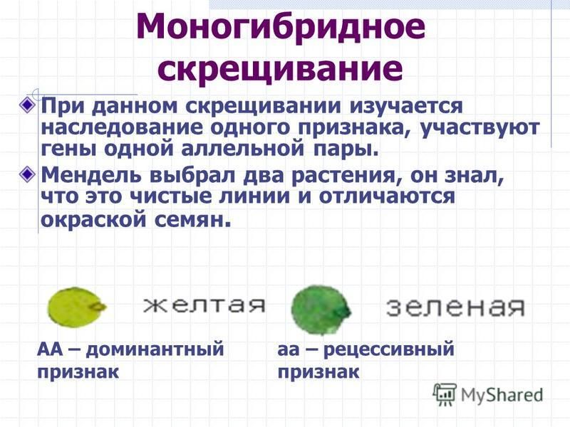 Сформулируйте первый закон менделя How-info.ru