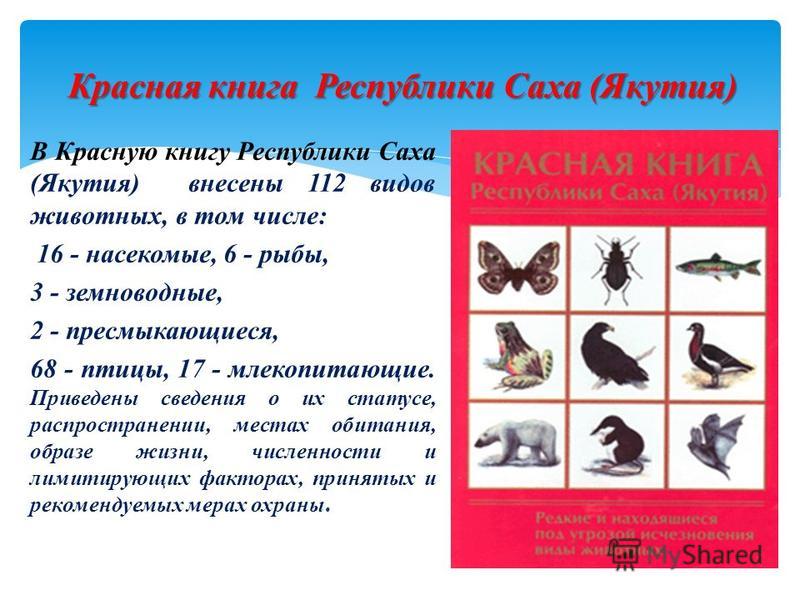 В Красную книгу Республики Саха (Якутия) внесены 112 видов животных, в том числе: 16 - насекомые, 6 - рыбы, 3 - земноводные, 2 - пресмыкающиеся, 68 - птицы, 17 - млекопитающие. Приведены сведения о их статусе, распространении, местах обитания, образе