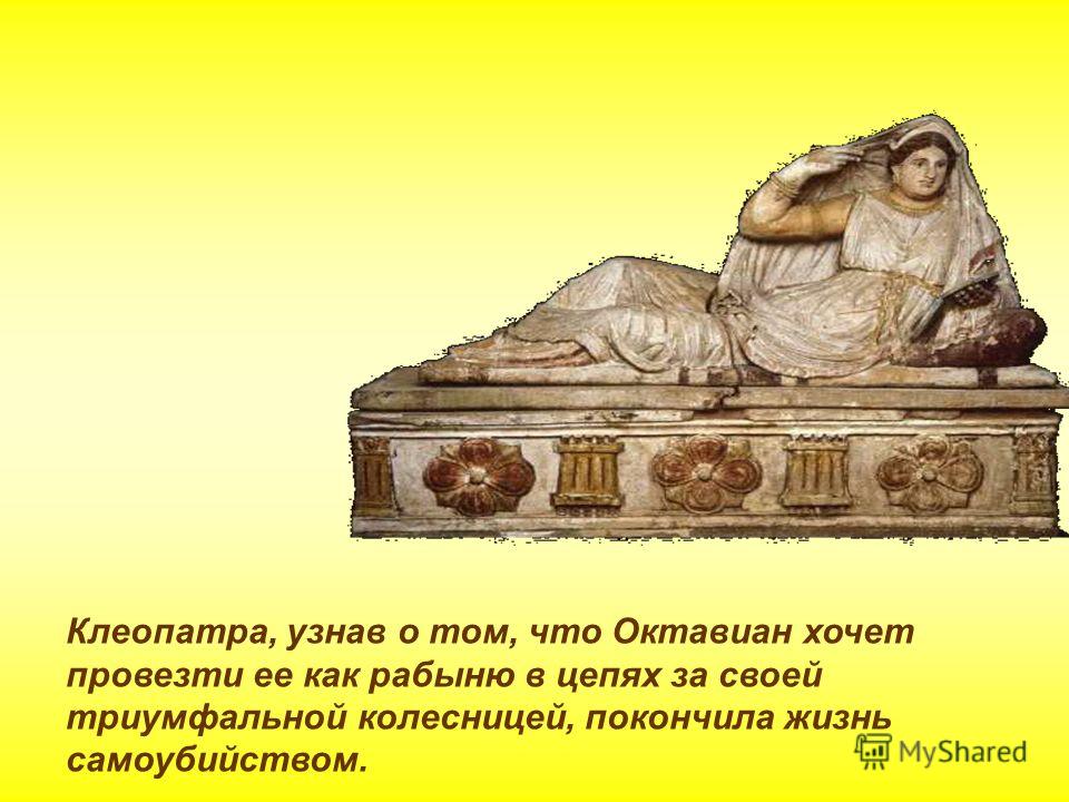Грибы 6 класс биология