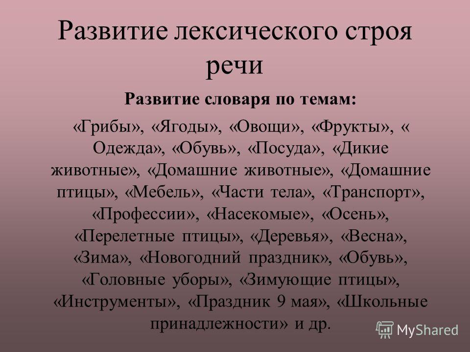 Развитие лексического строя речи Развитие лексического строя речи