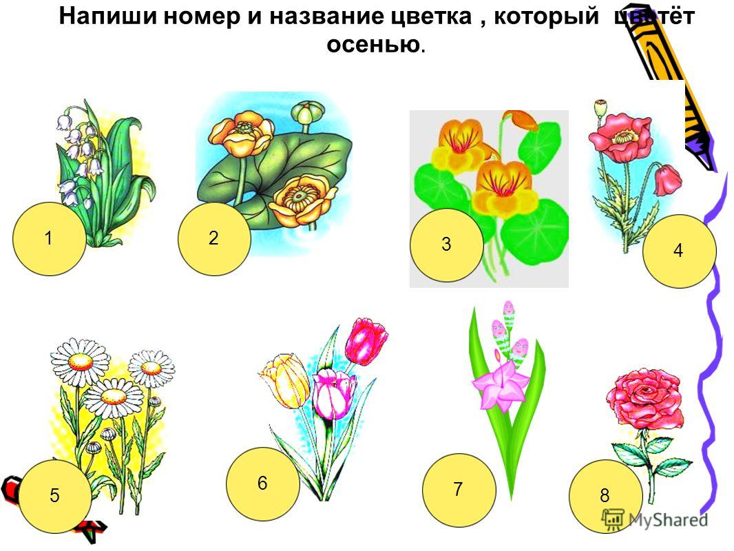 Автомобильная сигнализация Шерхан 5 Руководство Автомобильная сигнализация Шерхан 5 Руководство