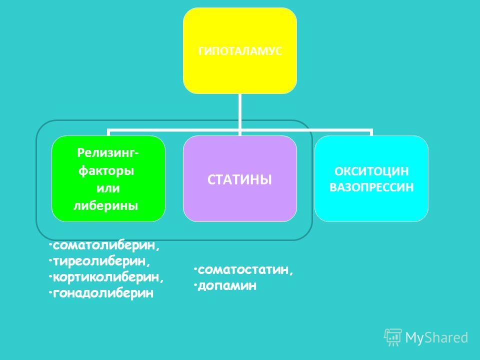 статины классификация механизм действия статины классификация механизм действия