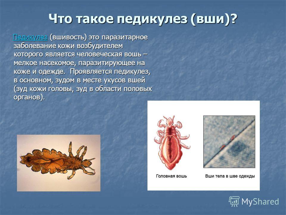 присутствие паразитов в организме присутствие паразитов в организме