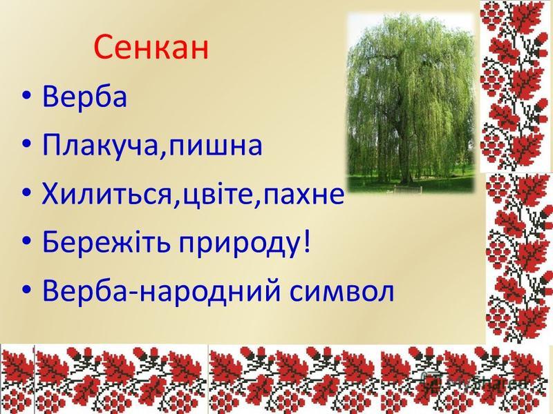 Верба Струнка, довгокоса Хилиться, росте, стоїть Верба – рослина символ України Красота Сенкан