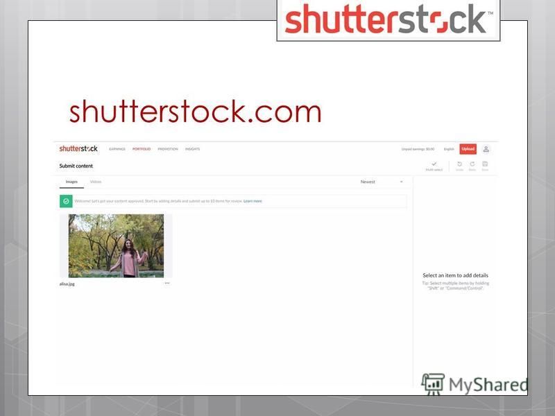 shutterstock.com