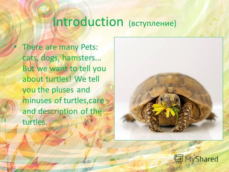 Introduction (вступление) There are many Pets: cats, dogs, hamsters... But we want to tell you about turtles! We tell you the pluses and minuses of turtles,care and description of the turtles.