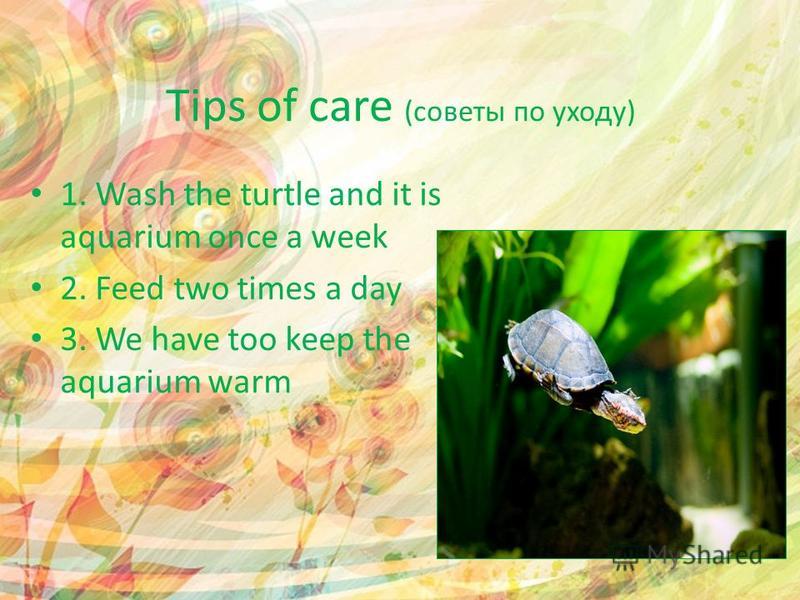 Tips of care (советы по уходу) 1. Wash the turtle and it is aquarium once a week 2. Feed two times a day 3. We have too keep the aquarium warm