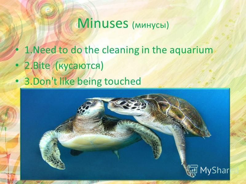 1. Need to do the cleaning in the aquarium 2. Bite (кусаются) 3.Don't like being touched