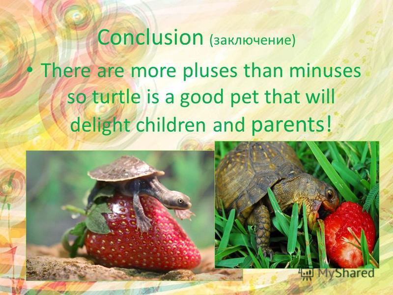 Conclusion (заключение) There are more pluses than minuses so turtle is a good pet that will delight children and parents!